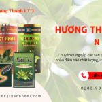 Lợi ích sức khỏe từ trái nhàu – Giải pháp số 1 cho sức khỏe